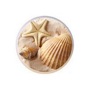 May include: A close-up of a seashell, starfish, and sand. The seashell is a light brown color and has a textured surface. The starfish is a light yellow color and has five points. The sand is a light brown color.