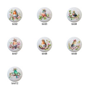 May include: Twelve ceramic knobs with painted images of birds wearing crowns. Each knob features a different bird species with varying colors and patterns.