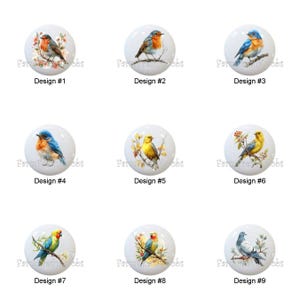 May include: Nine white ceramic cabinet knobs with colorful bird designs. Each knob features a different bird illustration, including robins, bluebirds, and a dove, with floral or branch accents. Each knob is labeled with a design number.
