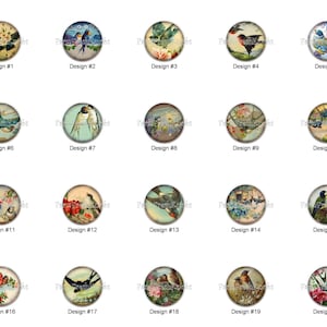 Aged Birds Vintage Postcards by CharmedMemoryCollage Bird Images on 1.5" White Decorative Glossy CERAMIC Cabinet PULLS Dresser Drawer KNOBS