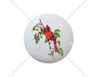 Cardinal Bird Ceramic Drawer Pull - 1.5" Decorative Knob