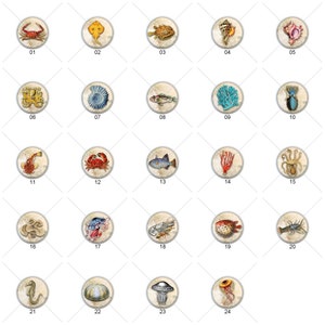 May include: A set of 24 illustrated sea life themed round stickers. Each sticker features a different sea creature, such as a crab, starfish, seahorse, and jellyfish. The stickers are perfect for adding a touch of whimsy to your crafts, journals, and more.