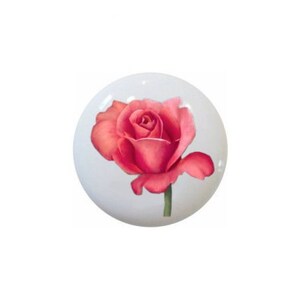 May include: A single pink rose with a green stem, painted on a white background.