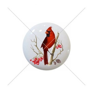 May include: A red cardinal bird perched on a branch with red berries. The bird has a black head and a white beak. The background is white.