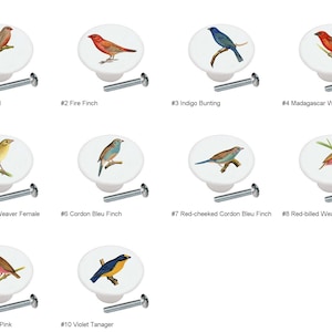 May include: Ten different ceramic cabinet knobs with images of various birds. Each knob has a silver screw. The birds are depicted on a white background.