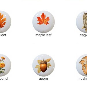 May include: Set of 10 ceramic knobs featuring autumnal designs. The knobs feature images of a turkey, oak leaf, maple leaf, eagle owl, fox in a landscape, mum flowers, acorn, mushrooms, and two different fox in a landscape designs.