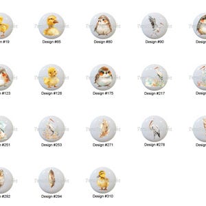 May include: A collection of decorative cabinet knobs with various watercolor designs. The knobs feature images of birds, feathers, and ducklings. Each knob is round and has a light gray background with a unique design and a design number.