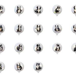 May include: Set of 18 round cabochons featuring adorable cartoon skunk illustrations. Each cabochon is approximately 25mm in diameter and features a different pose of the skunk.