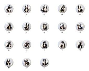 Watercolor Cute Skunks by yaw - 1.5" DECORATIVE Glossy Ceramic Dresser Drawer PULLS Cabinet Cupboard KNOBS