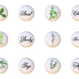 May include: Twelve white ceramic cabinet knobs with botanical illustrations and cursive text labels. The labels include "Basil", "Cilantro", "Parsley", "Rosemary", "Sage", and "Thyme". Each knob features a different herb illustration.