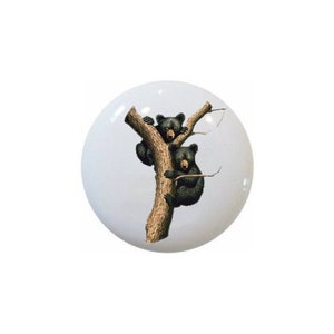 May include: A white, round decorative knob featuring a detailed illustration of two black bear cubs climbing a tree. The bears are depicted with realistic fur and are set against a soft, white background. The tree is brown with small branches.