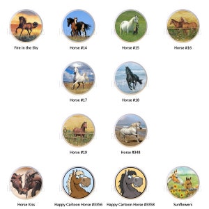 Horse Round Designs Equine Equestrian DECORATIVE Glossy Finish Ceramic Dresser Drawer PULLS Cabinet Cupboard KNOBS