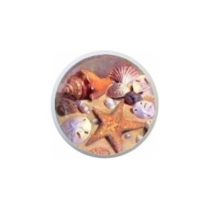 May include: A close-up of a seashell themed knob with a starfish, sand dollars, and various seashells on a sandy background.