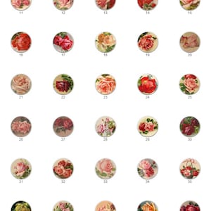 May include: A set of 48 vintage illustrations of roses in various colors and arrangements. Each illustration is a circle with a white background and a silver border.