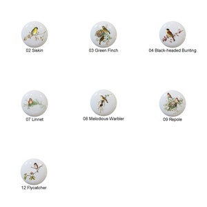 May include: Twelve ceramic knobs with different bird illustrations. Each knob features a white background with a single bird perched on a branch. The birds are depicted in various colors and poses, including a robin, a sparrow, a finch, and a warbler.