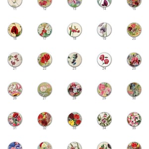 May include: Set of 48 vintage floral illustrations of sweet peas in various colors and arrangements. Each illustration is framed in a circle with a silver border.