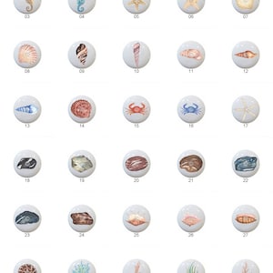 May include: Thirty-two ceramic tiles with various sea life designs, including seahorses, starfish, seashells, crabs, and coral. The tiles are white with a glossy finish.