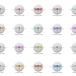 Dragonflies in Color Dragonfly Images on 1.5" White Decorative Glossy CERAMIC Cabinet PULLS Dresser Drawer KNOBS