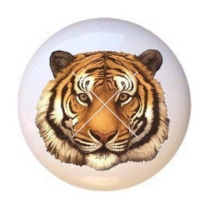 May include: A close-up of a tiger's face. The tiger has orange and black stripes and a white background. The tiger's eyes are brown and its nose is pink.