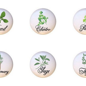 May include: Six white round labels with green herbs and their names in black cursive writing. The herbs are basil, cilantro, parsley, rosemary, sage, and thyme.