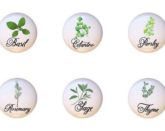 Culinary Herbs Ceramic Drawer Pulls - Kitchen Decor Knobs - Set of 6