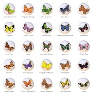 May include: A set of 20 round ceramic tiles featuring colorful butterfly illustrations. Each tile has a different butterfly species with a name label below.