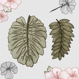May include: Two decorative leaf designs, one a large Monstera leaf and the other a fern-like leaf, are depicted in a soft green hue with dark brown outlines. The image also includes delicate floral sketches in pink and black and white.