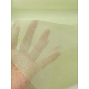 May include: A sheer, light green fabric featuring a subtle, tonal floral pattern woven into the material. The textile is translucent, allowing light to pass through, and displays a fine, delicate weave structure with a soft, matte finish throughout.