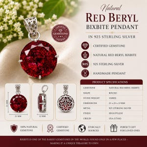 Op de afbeelding: Een ronde hanger van natuurlijke rode beryl bixbiet, gezet in 925 sterling zilver. De hanger heeft een gefacetteerde rode edelsteen met een decoratief filigraan oogje. De productspecificaties vermelden afmetingen van 21 x 21 x 12 mm.