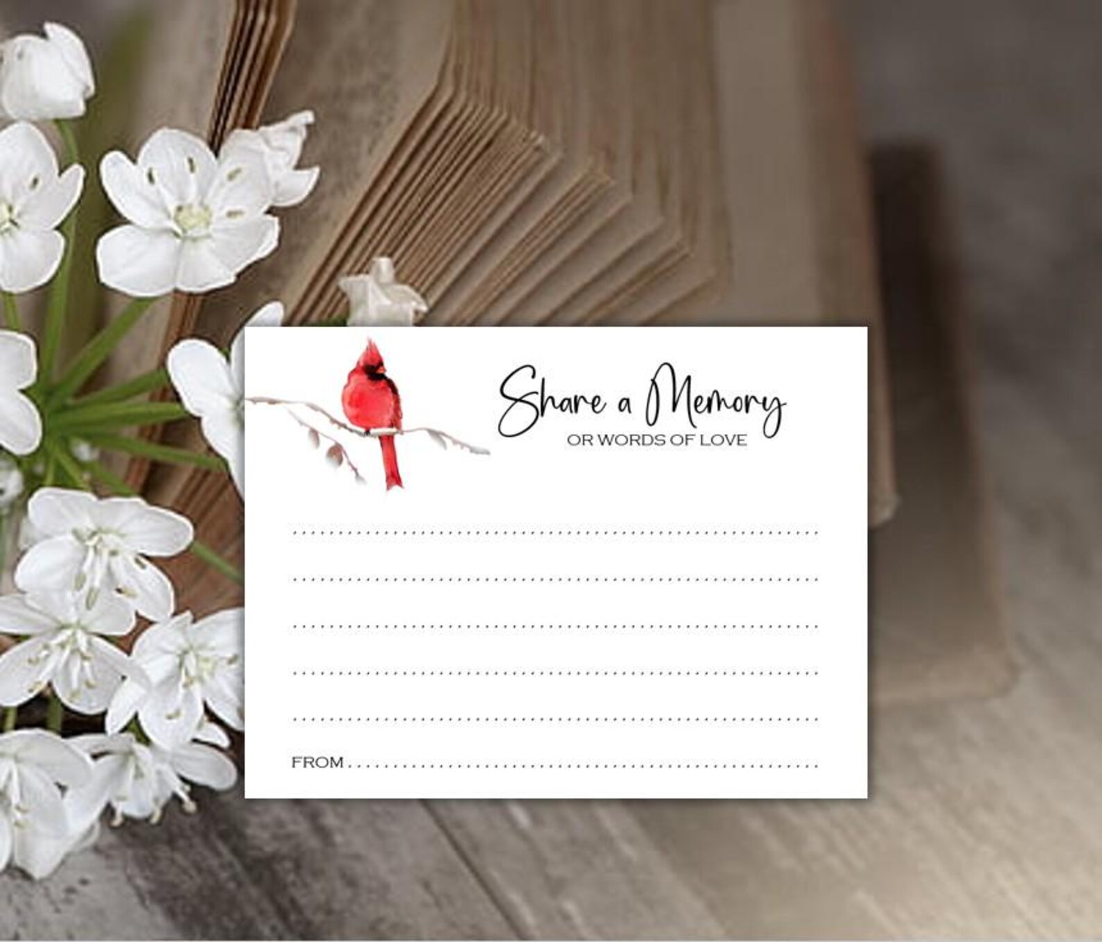 Share a Memory Note Cards Cardinal Sympathy for Funeral Memorial or ...
