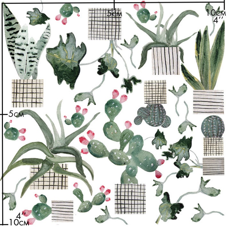 colourful cactus porcelain stickers image 3