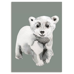 Ours polaire, carte postale