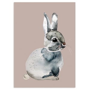Bunny rabbit, postcard