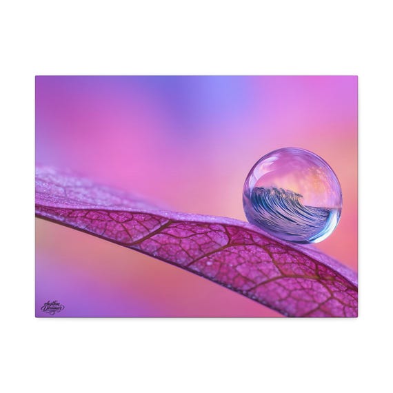 Stretched Canvas (14) Macro droplet available in 45 cm ×  61 cm.