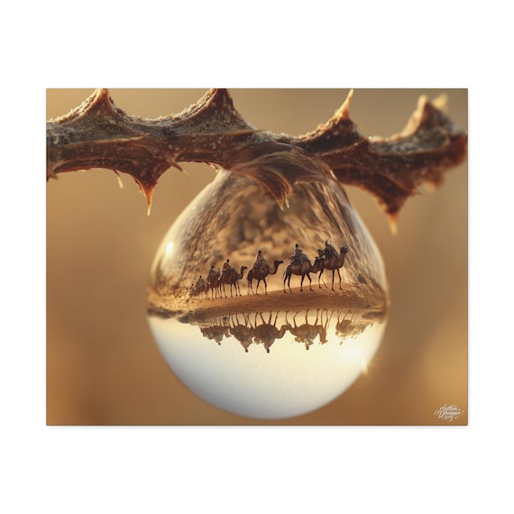 Stretched Canva (13) Macro droplet available in 61 cm × 76 cm.