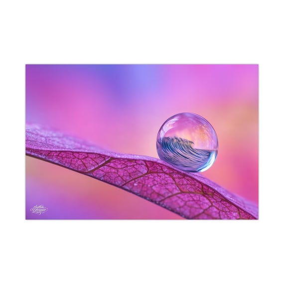 Matte poster (14) available in 30 cm × 45 cm / 45 cm × 61 cm / 50 cm × 76 cm /  61 cm × 91 cm.