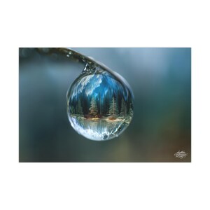 Matte poster (7) available in 30 cm × 45 cm / 50 cm × 76 cm /  61 cm × 91 cm.