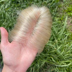 Puede incluir: Una peluca o extensión de cabello rubio claro, sostenida en una mano. El cabello es de un color dorado pálido con raíces visibles. El fondo es hierba verde borrosa.