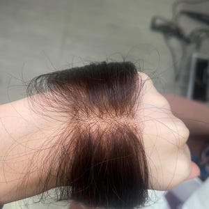 May include: A dark brown hairpiece with a lace front, held in a hand. The hairpiece appears to be a wig or hair extension, with individual strands visible. The hair is a solid, rich brown color.