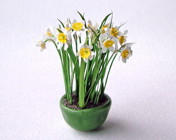 Narcissus daffodils in a Mossy Weathered Pot for the 1/12th Etsy