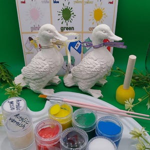 May include: A craft kit with two white duck ornaments, paint pots in various colours, a paintbrush, and a sponge applicator. A colour guide with colour names is in the background. The ducks have ribbon around their necks. The kit is designed for painting and crafting.