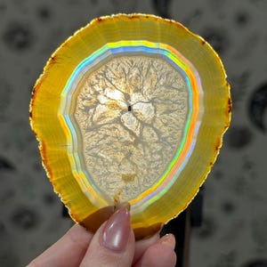 May include: A yellow agate slice with a rainbow iridescent band. The centre has a light-coloured, tree-like pattern. The agate is held up against a blurred background.