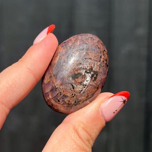 May include: A polished, oval-shaped gemstone featuring a mottled blend of deep reddish-brown, purple, and dark grey tones. The surface displays a smooth, reflective texture with visible internal inclusions and dark, scattered mineral flecks throughout.