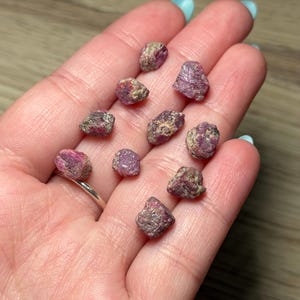 May include: A collection of rough, raw ruby gemstones. The gemstones are a deep pinkish-red colour with a textured, uneven surface. The rubies are small, ranging from approximately 0.6 to 1.3 cm in size. They are displayed in a person's open hand.