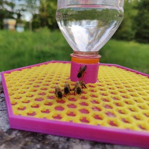 Bee Feeder for Plastic Water Bottles | Bee Insect Waterer | Gift for Beekeeper | Automatic Feeder Dish | Water Bottle Auto Water Dispenser