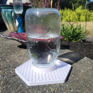 Bee Feeder for Small Mouth Mason Jars | Bee Insect Waterer | Gift for Beekeeper | Automatic Feeder Dish | Mason Jar Auto Water Dispenser