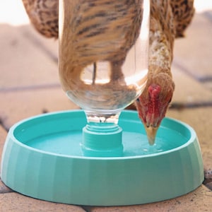 Bee Feeder for Wide Mouth Mason Jars | Bee Insect Waterer | Gift for Beekeeper | Automatic Feeder Dish | Mason Jar Auto Water Dispenser
