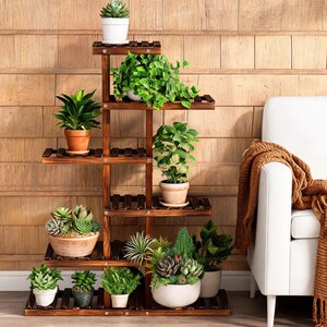 May include: A multi-tiered dark brown wooden plant stand with a staggered, vertical design. The stand features several horizontal shelves holding various potted plants, including succulents, leafy green foliage, and small shrubs in assorted pots.