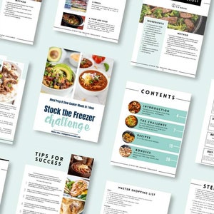 Op de afbeelding: Een verzameling receptkaarten en gidsen voor maaltijdbereiding en vriezer koken. De titel "Stock the Freezer Challenge" is zichtbaar, samen met verschillende recepten en kookinstructies. De lay-out bevat afbeeldingen van bereide maaltijden en ingredi&euml;ntenlijsten.
