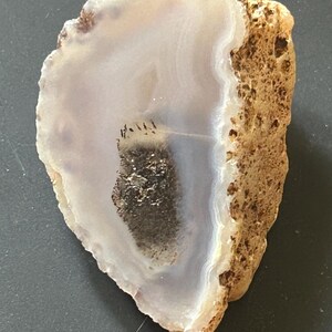May include: A polished agate slice with a light purple and white interior, featuring concentric bands and a central dark brown area. The outer edge is a rough, textured brown.